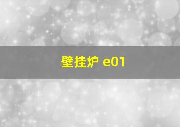 壁挂炉 e01